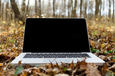 fall into learning